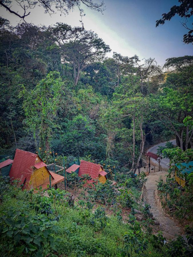 Hotel Eco Cabin - Tanoa Minca Zewnętrze zdjęcie